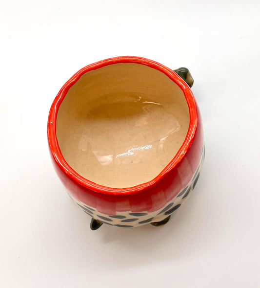 Turtle Bowl