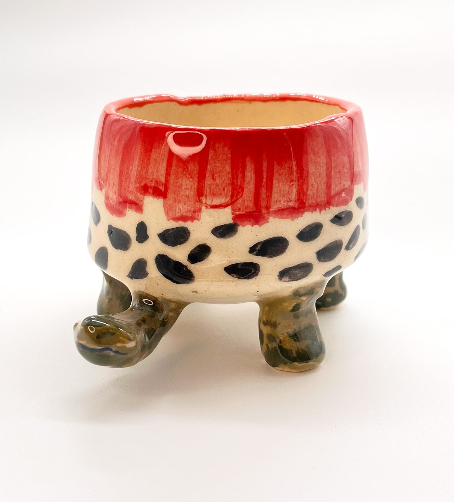 Turtle Bowl