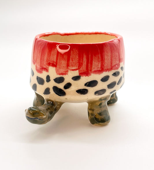 Turtle Bowl