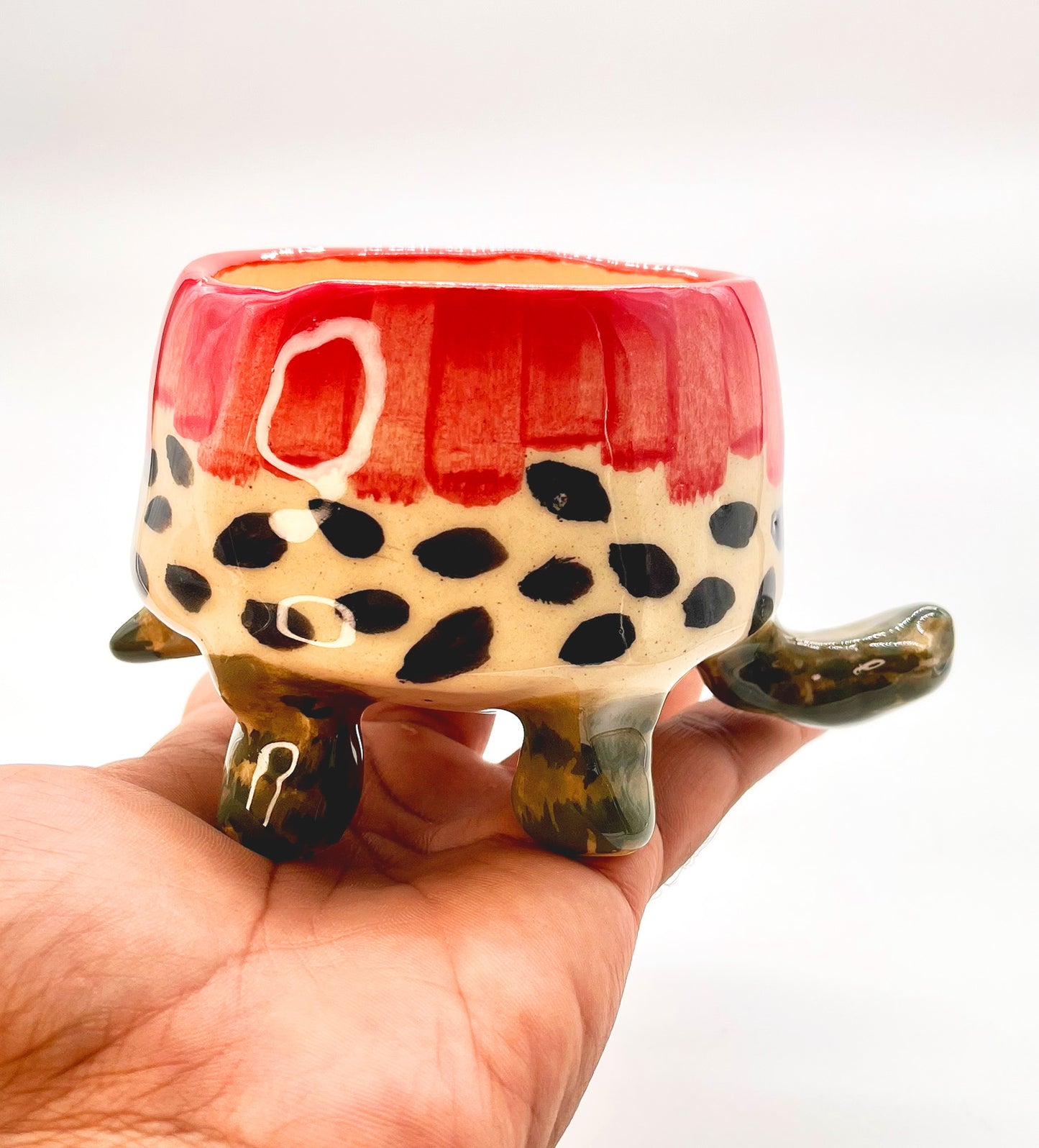 Turtle Bowl