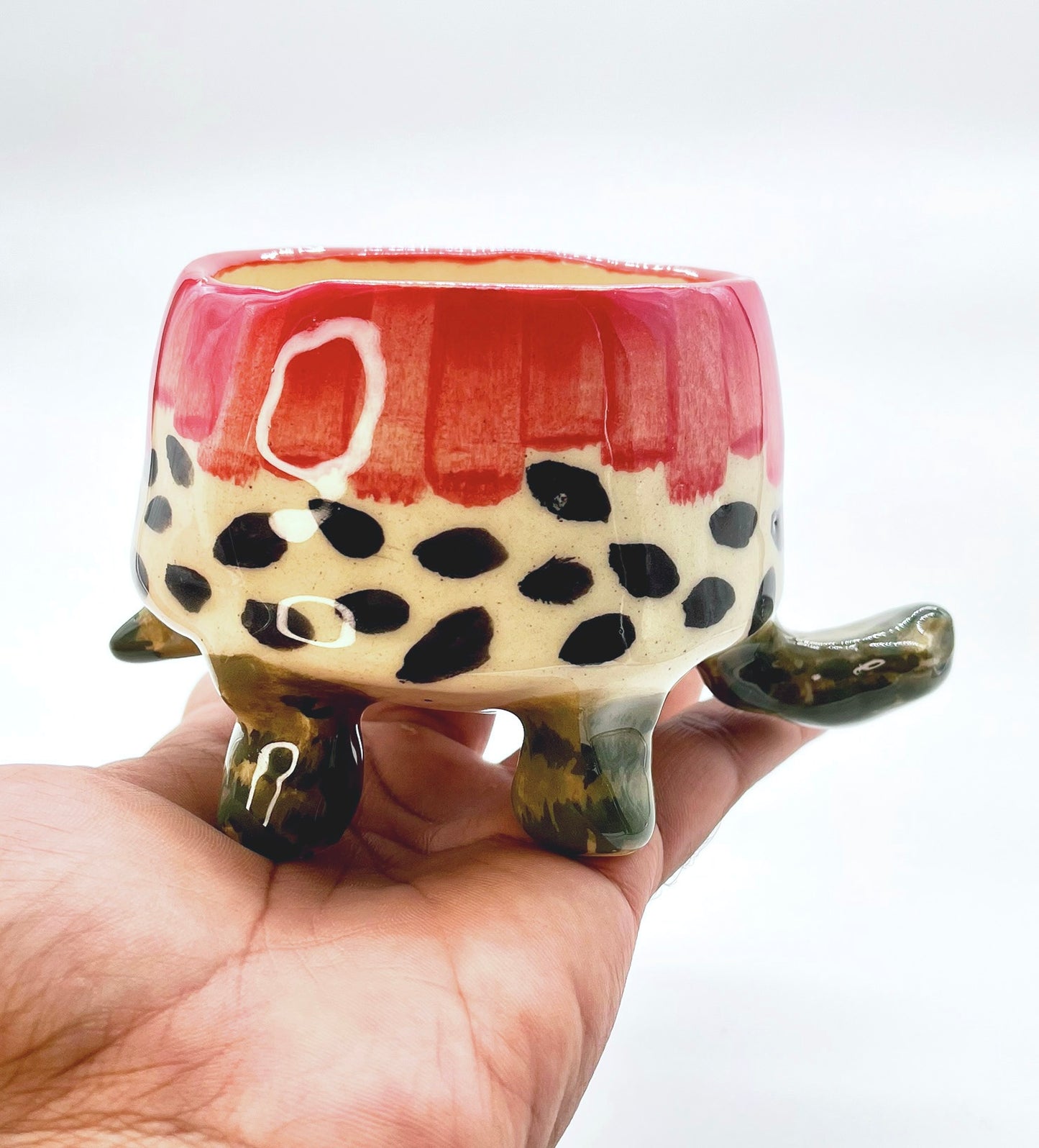 Turtle Bowl