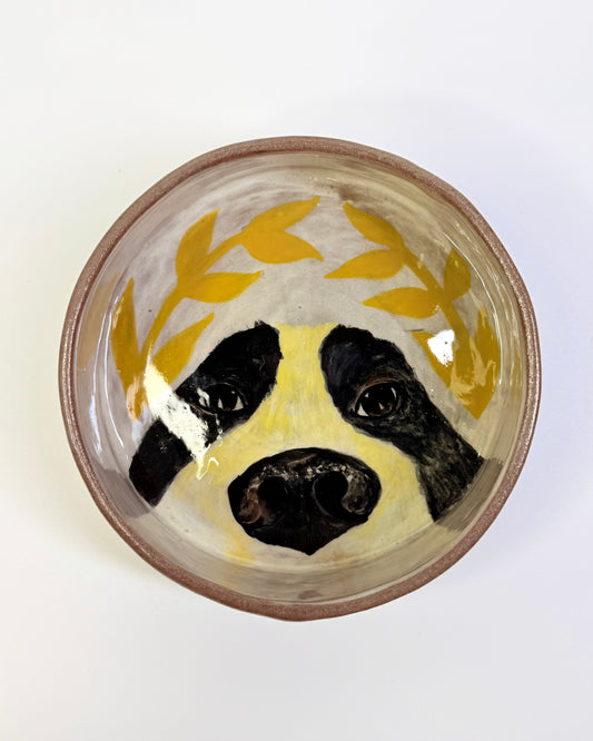 Dog Bowl