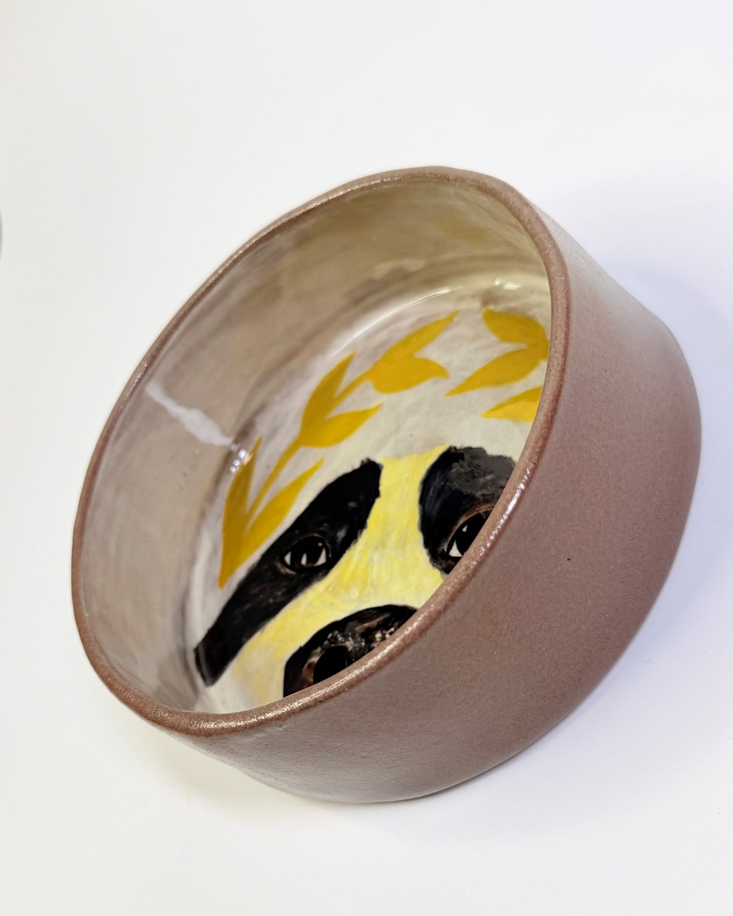 Dog Bowl
